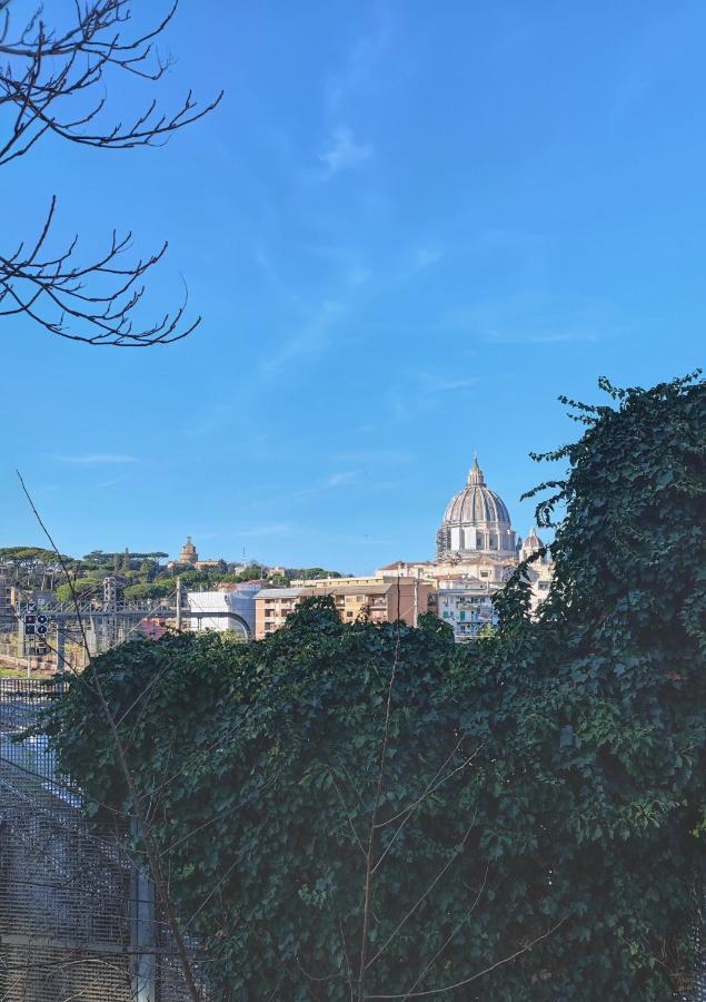 ローマTimeless St Peter Terraceアパートメント エクステリア 写真